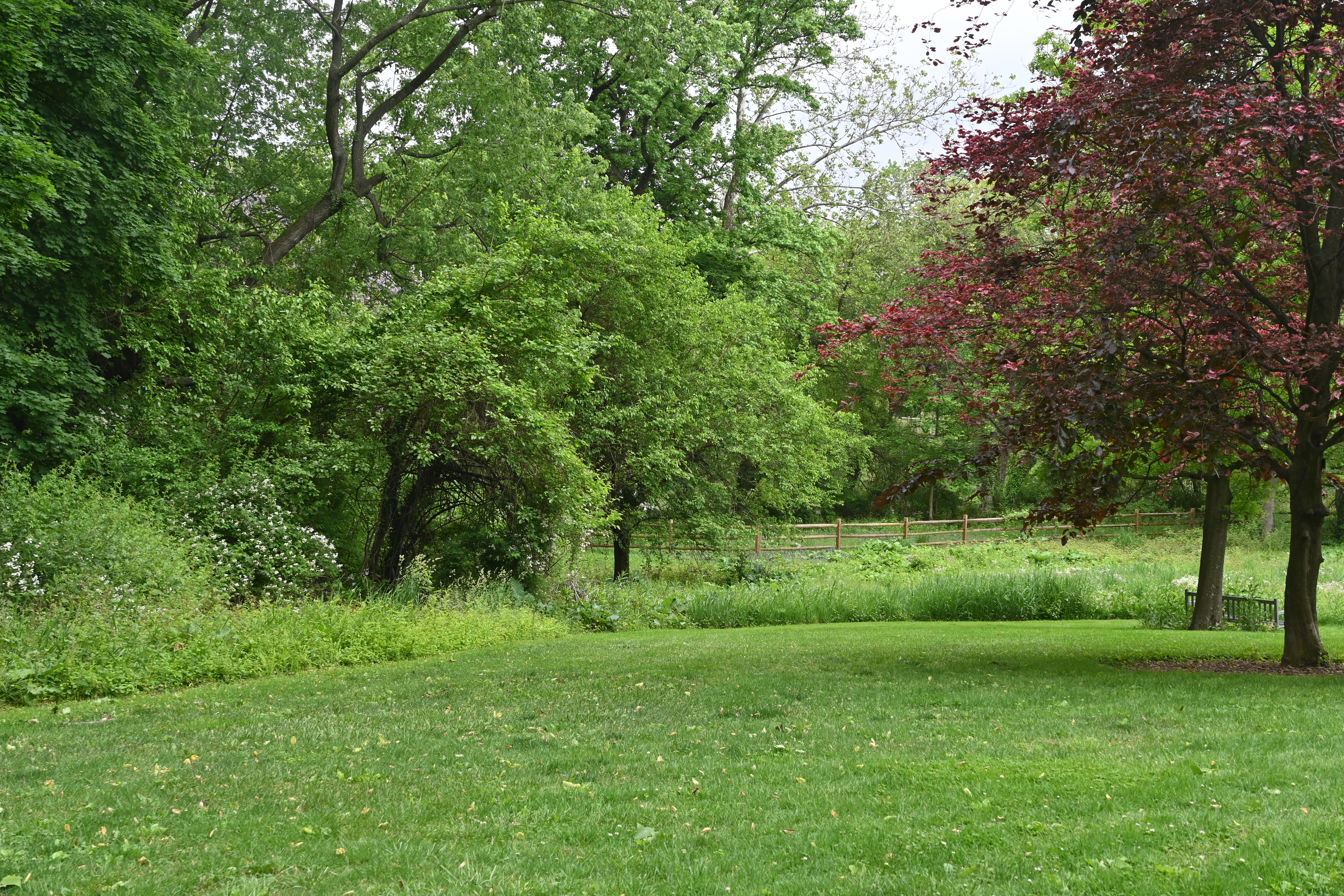 Haverford College, 2024-05-17