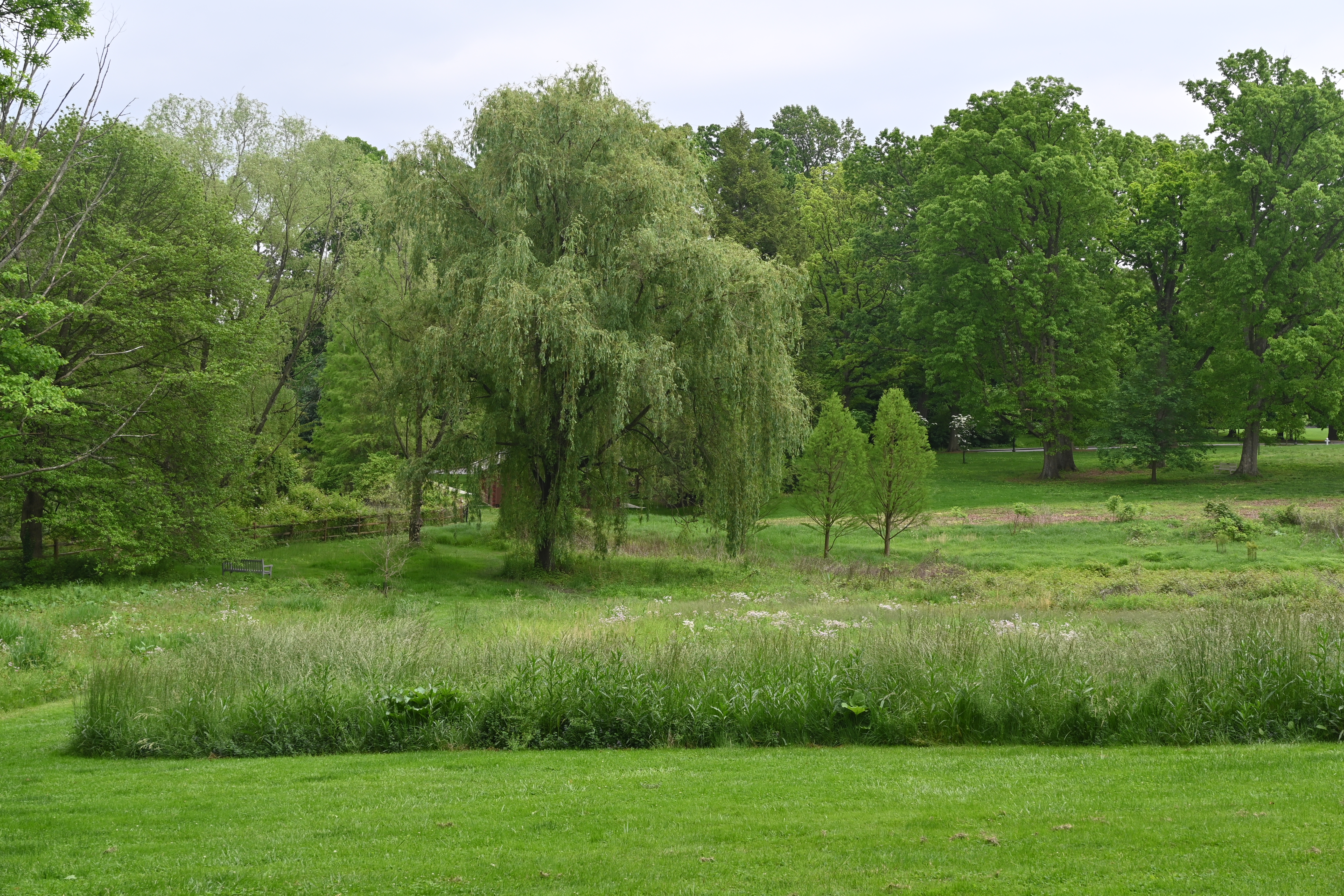 Haverford College, 2024-05-17