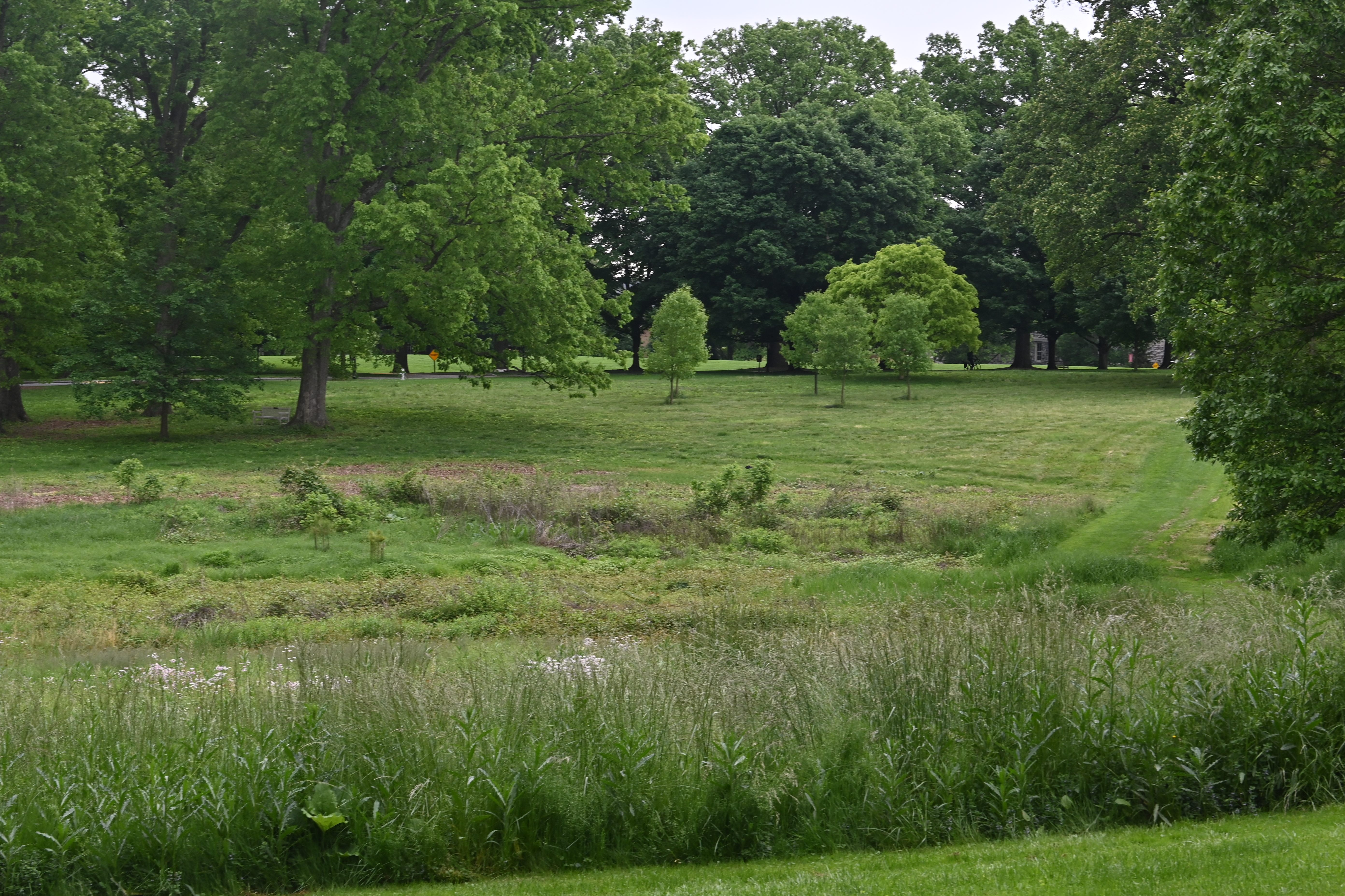 Haverford College, 2024-05-17