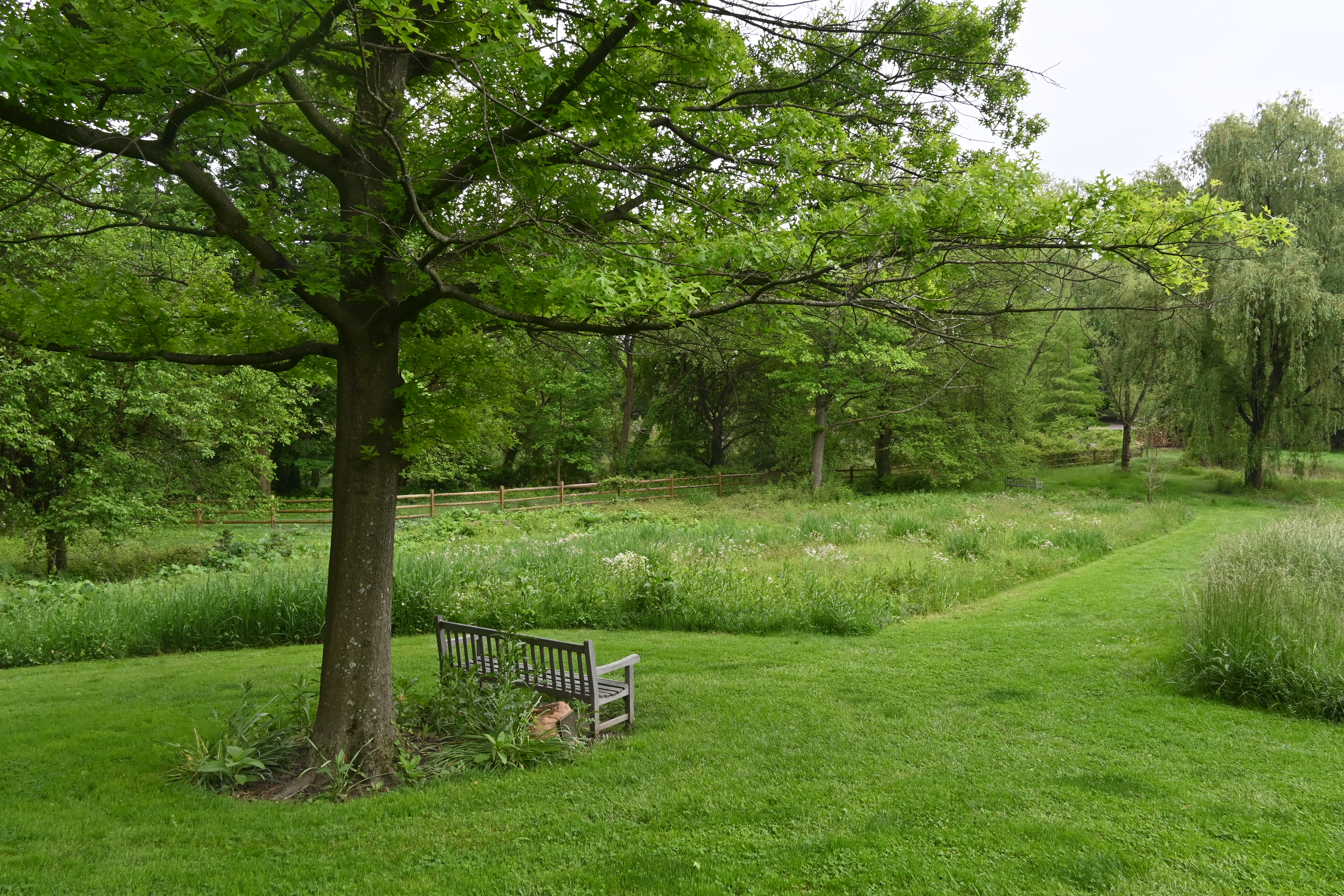 Haverford College, 2024-05-17