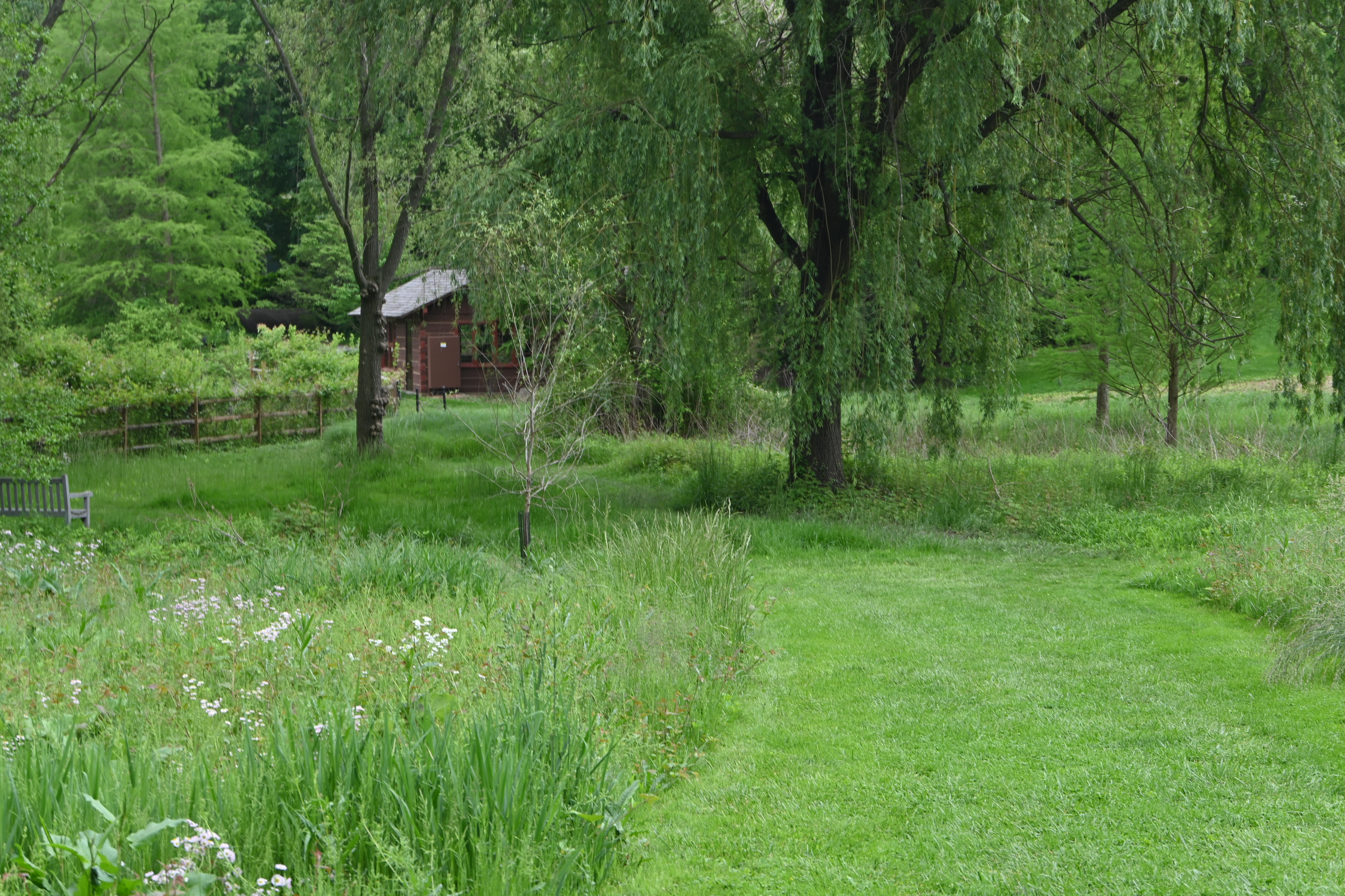 Haverford College, 2024-05-17