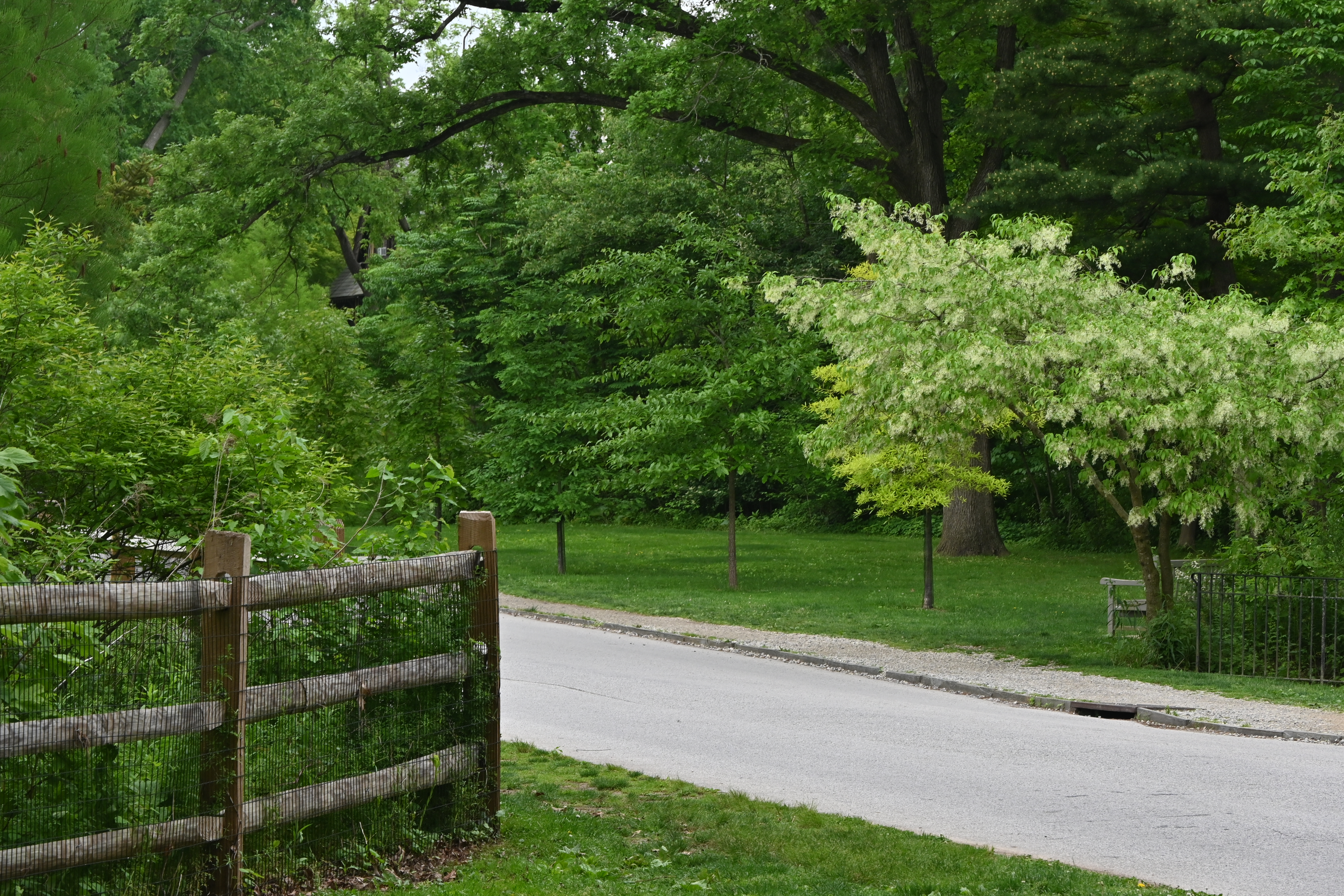 Haverford College, 2024-05-17