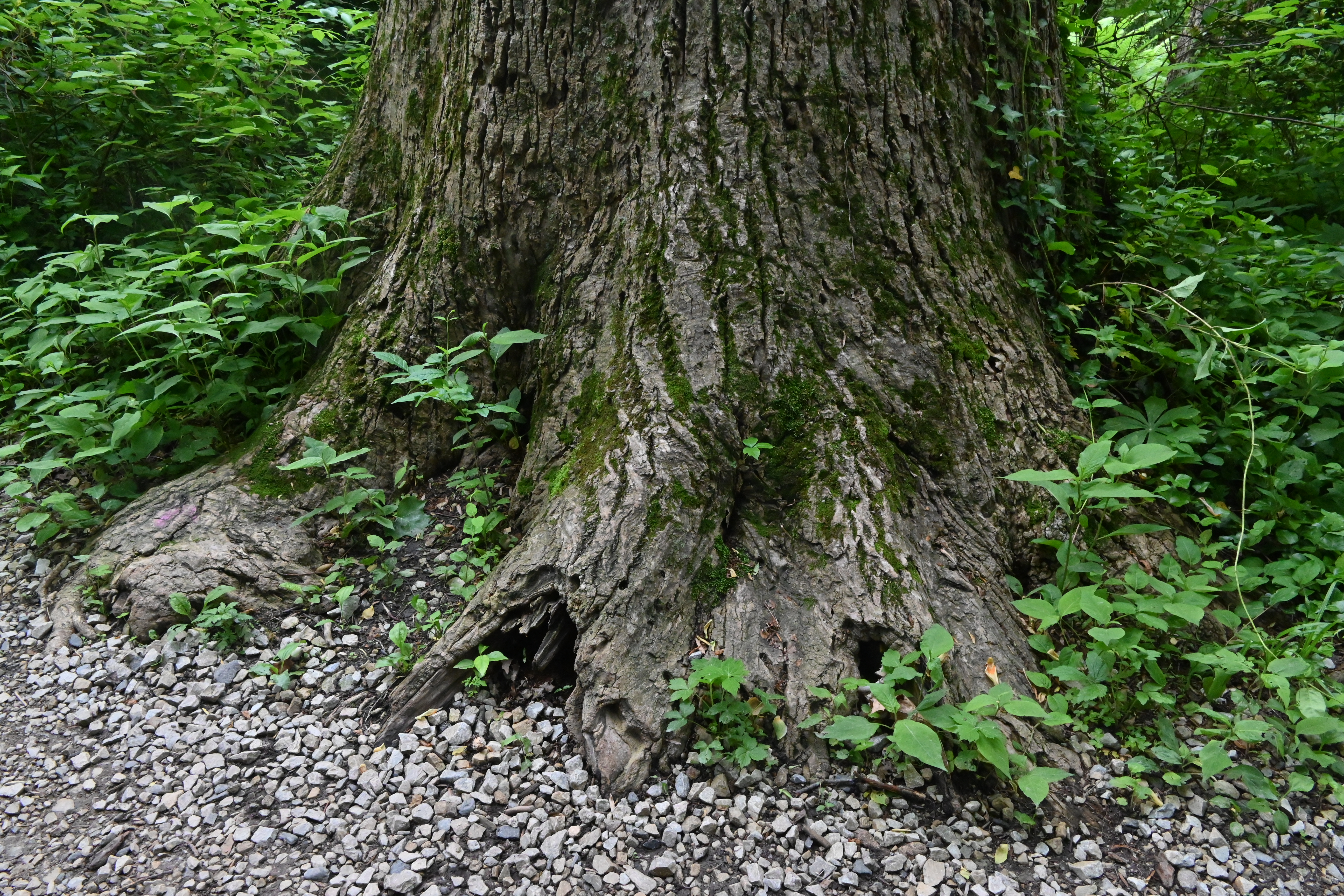 Haverford College, 2024-05-17