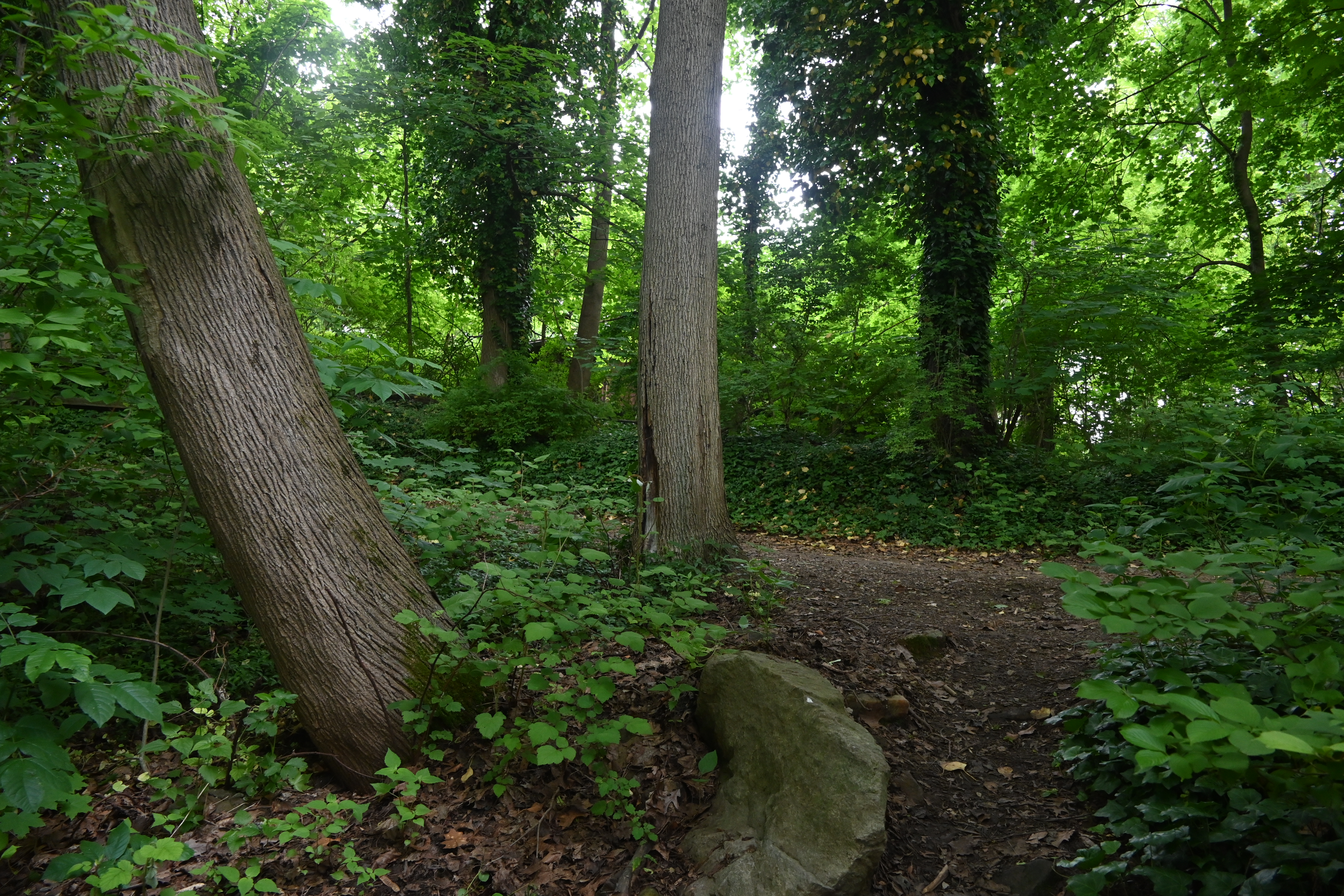 Haverford College, 2024-05-17