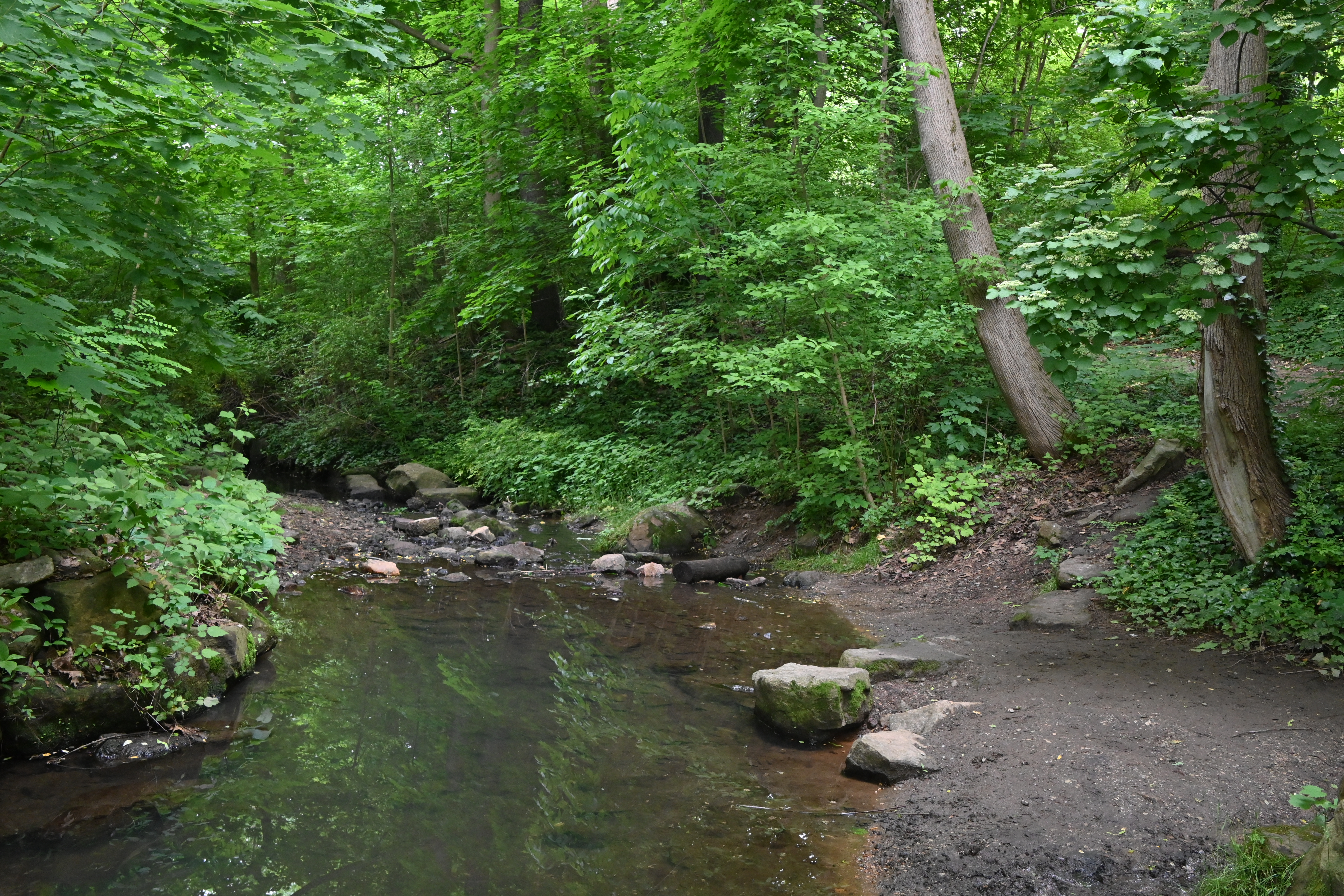 Haverford College, 2024-05-17