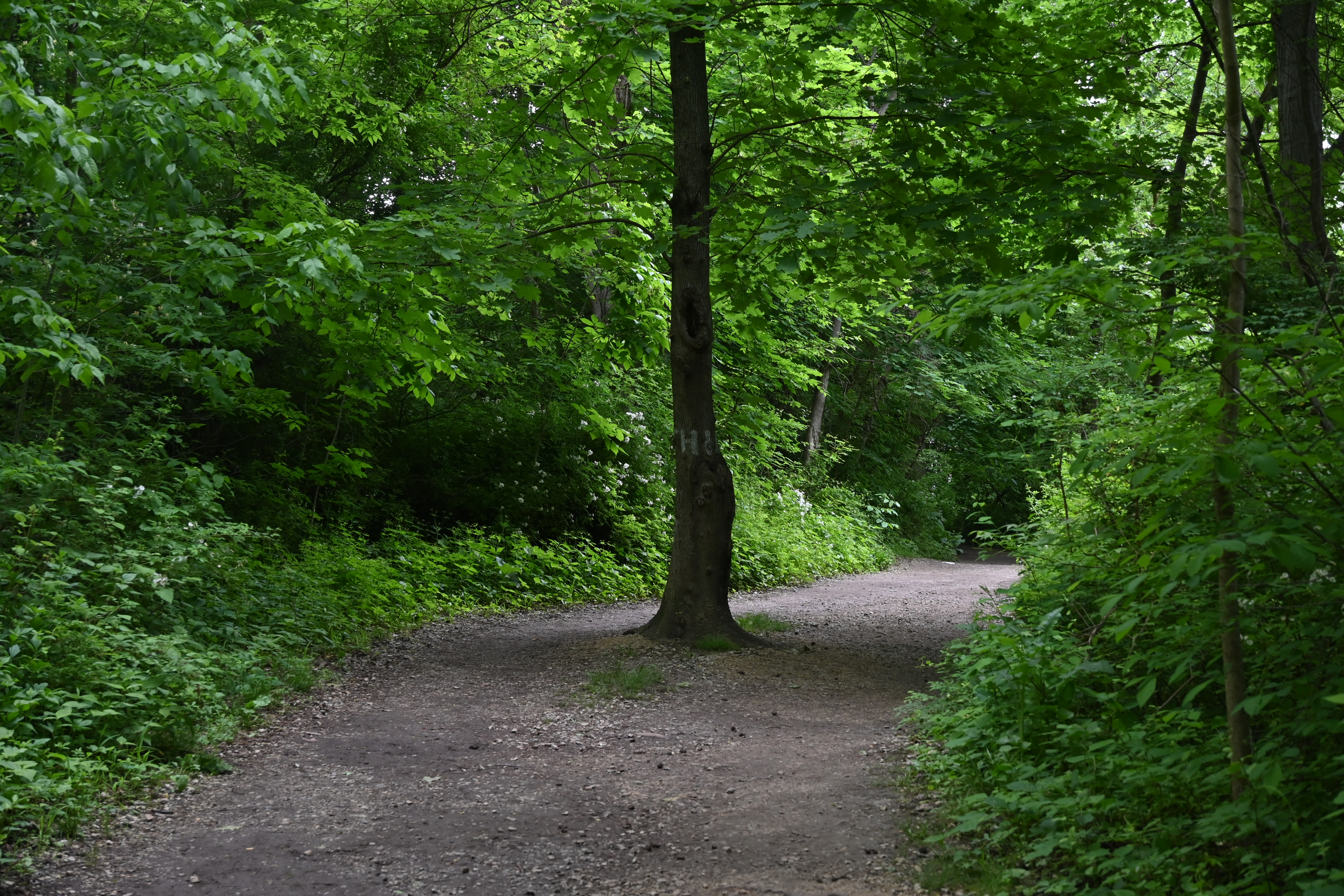 Haverford College, 2024-05-17