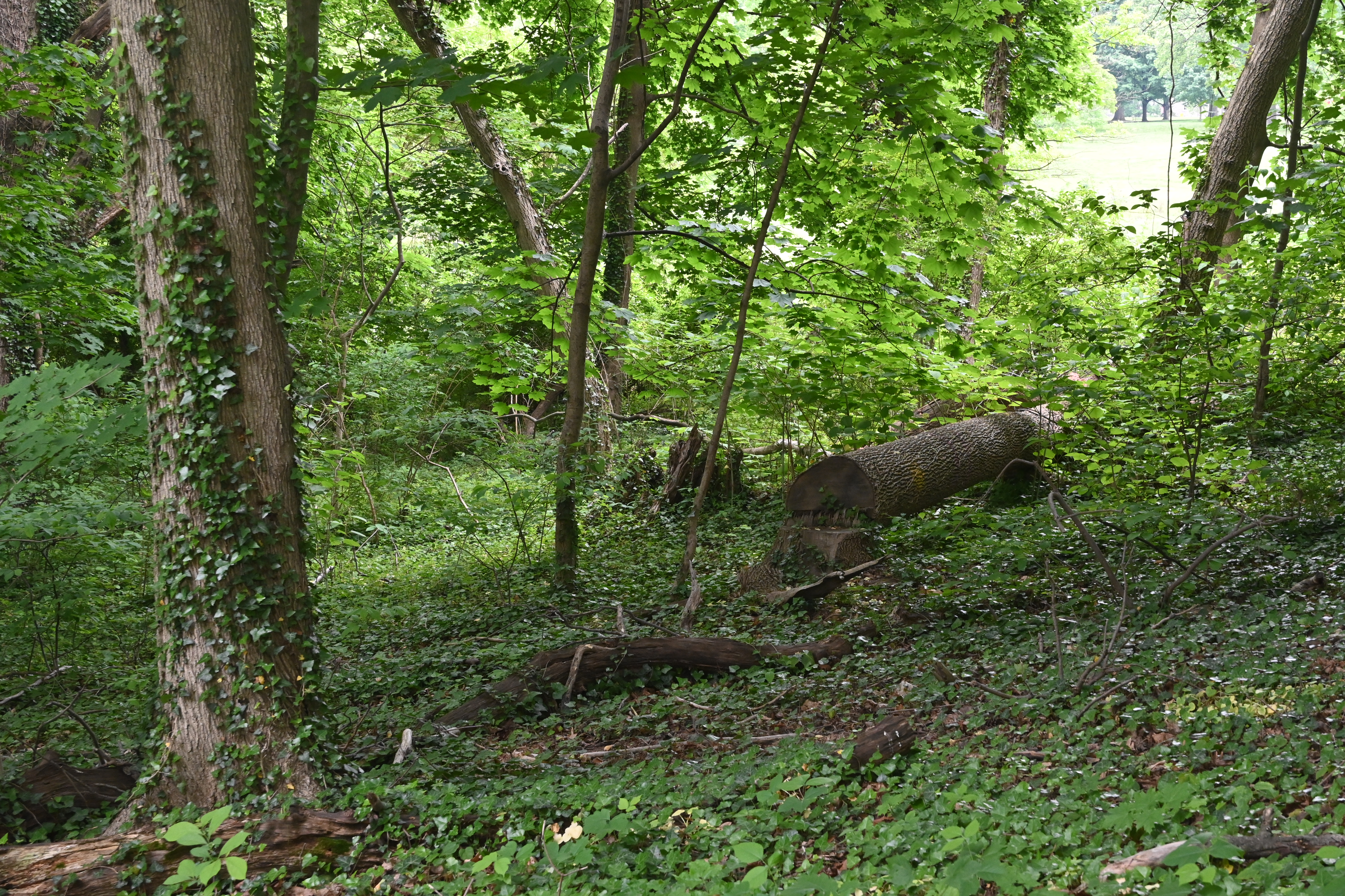 Haverford College, 2024-05-17