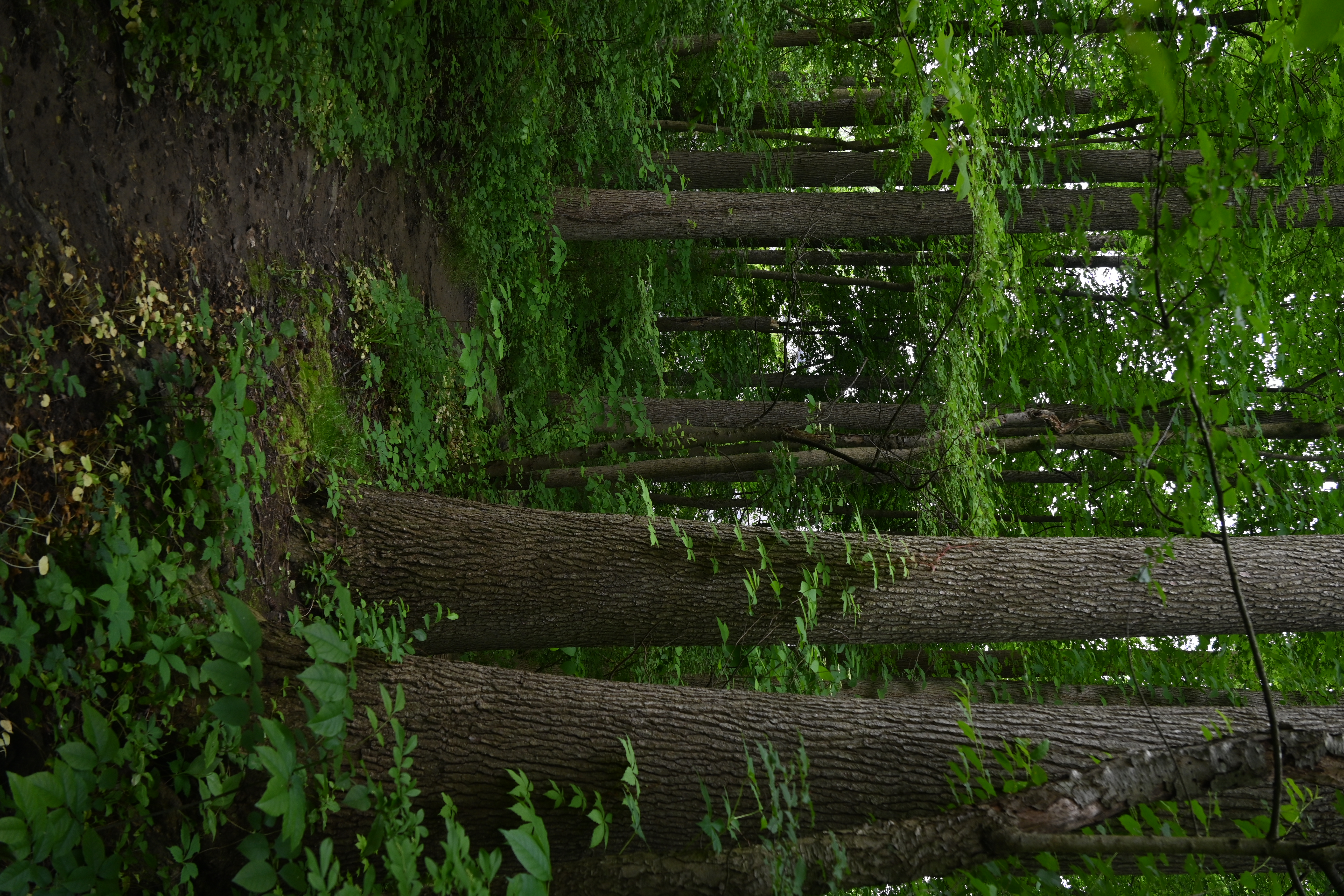 Haverford College, 2024-05-17