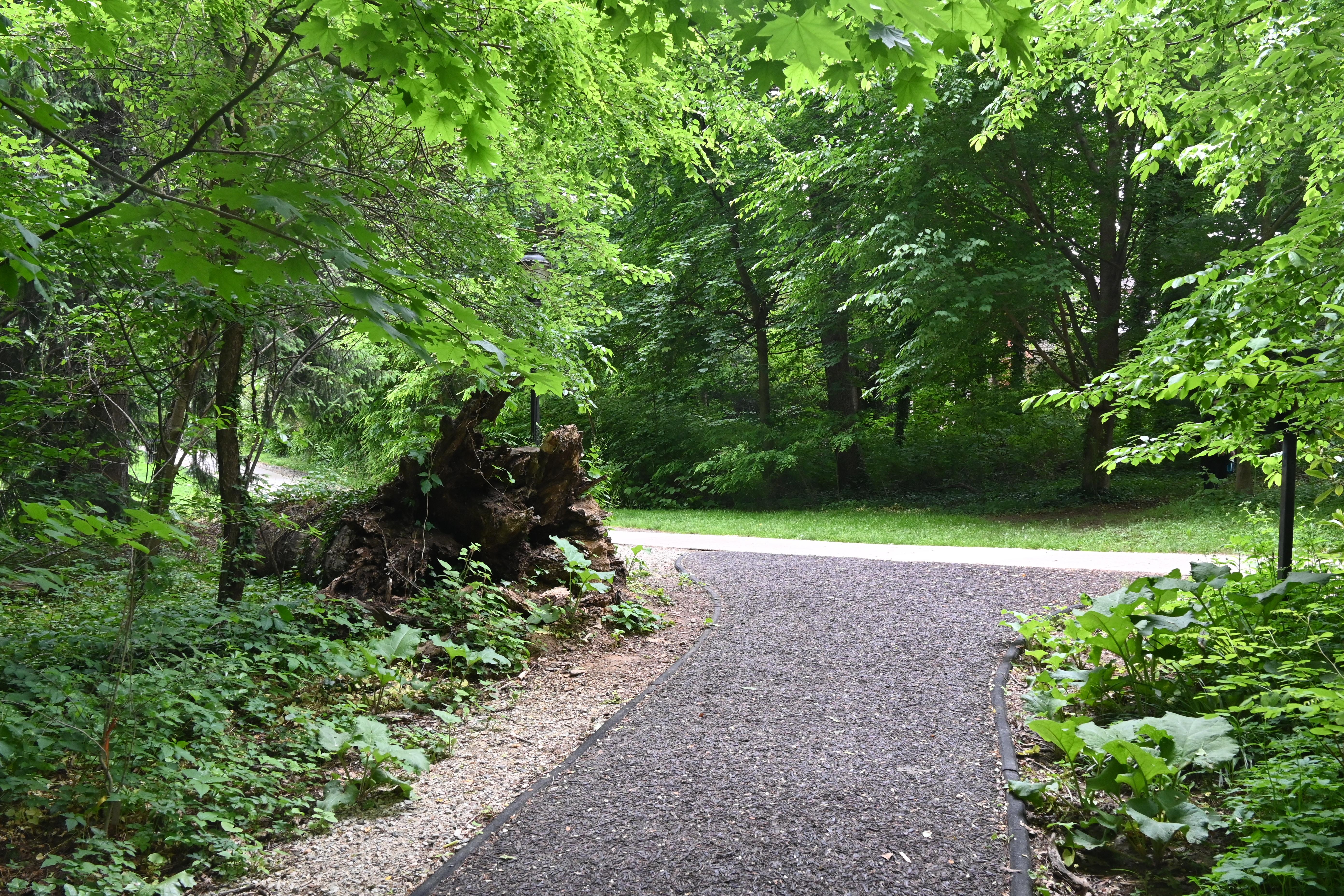 Haverford College, 2024-05-17