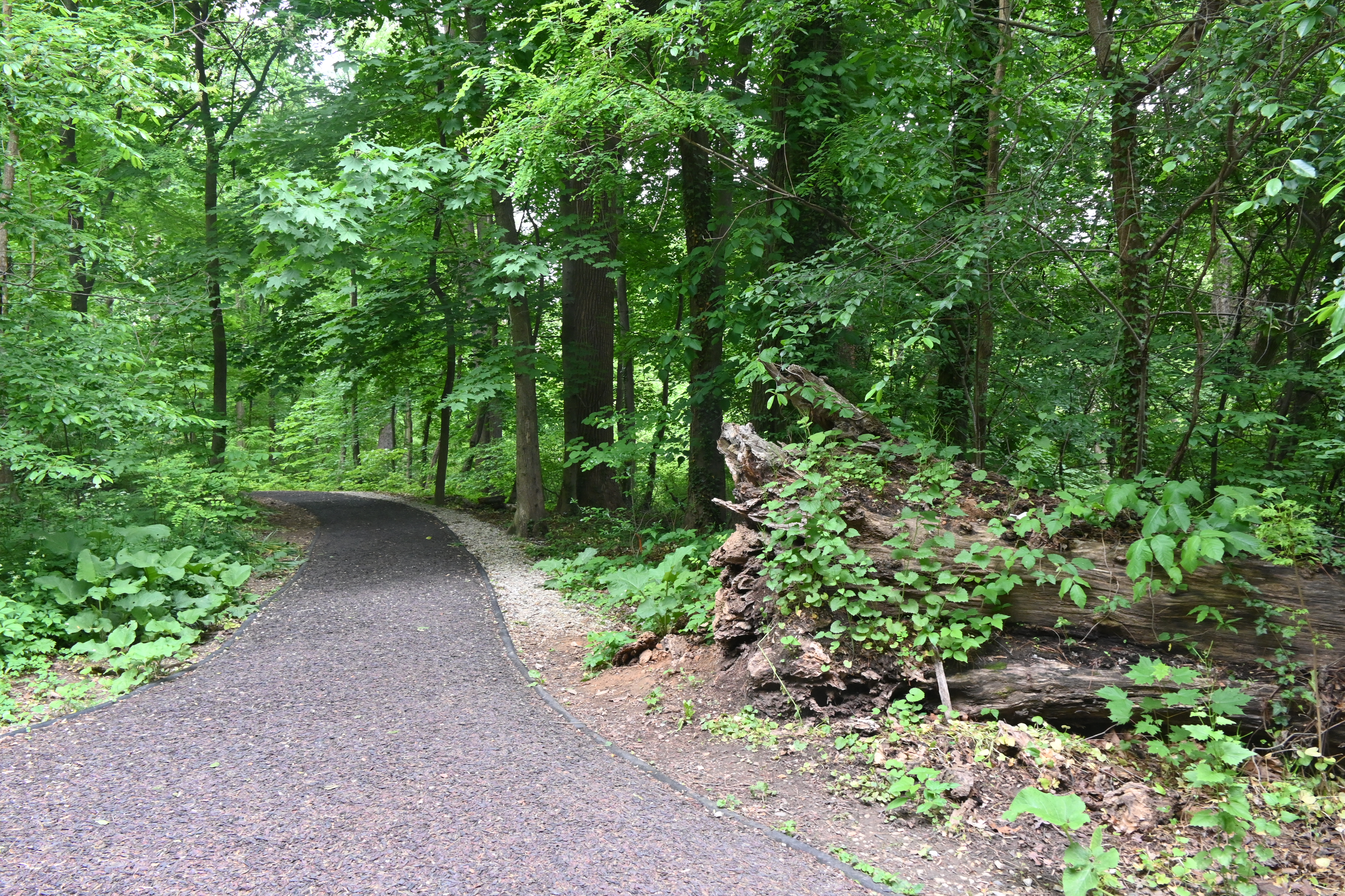 Haverford College, 2024-05-17